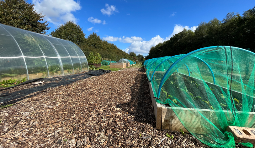 GLAS Community Garden