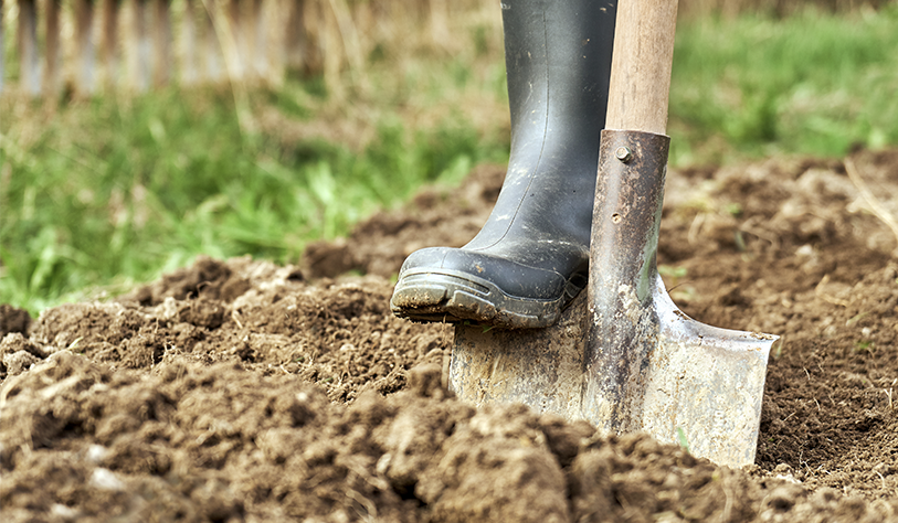 wellington boot digging Soil with spade