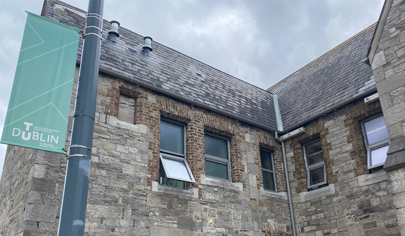 swifts nests in on an old stone building