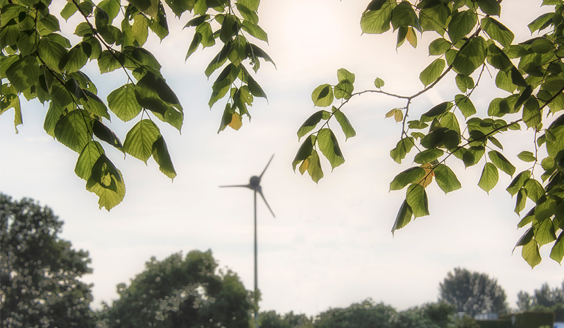 WIND turbine in the distance on the tallaght campus