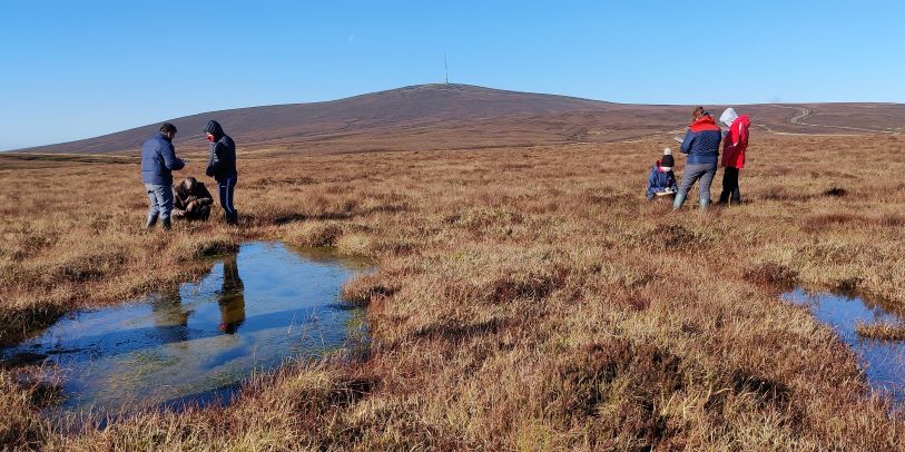 Liffey Head Bog lg