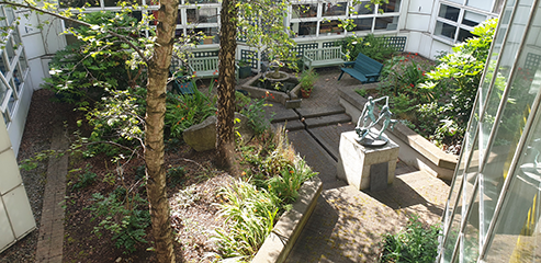 The Courtyard Garden on the TU Dublin Tallaght campus