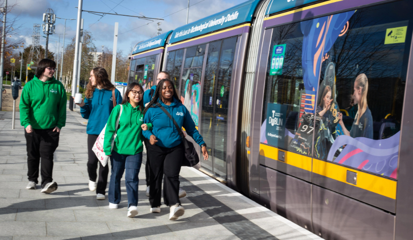 Luas Wrap